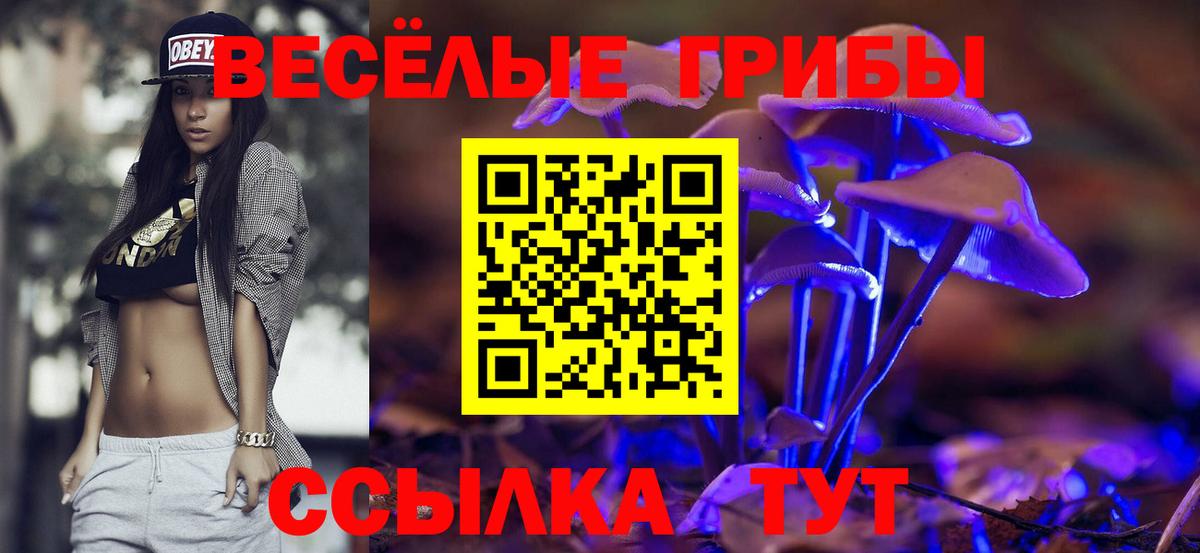 Галлюциногенные грибы Psilocybine cubensis  Вход с VPN  Знаменск  Галлюциногенные грибы MAGIC MUSHROOMS 