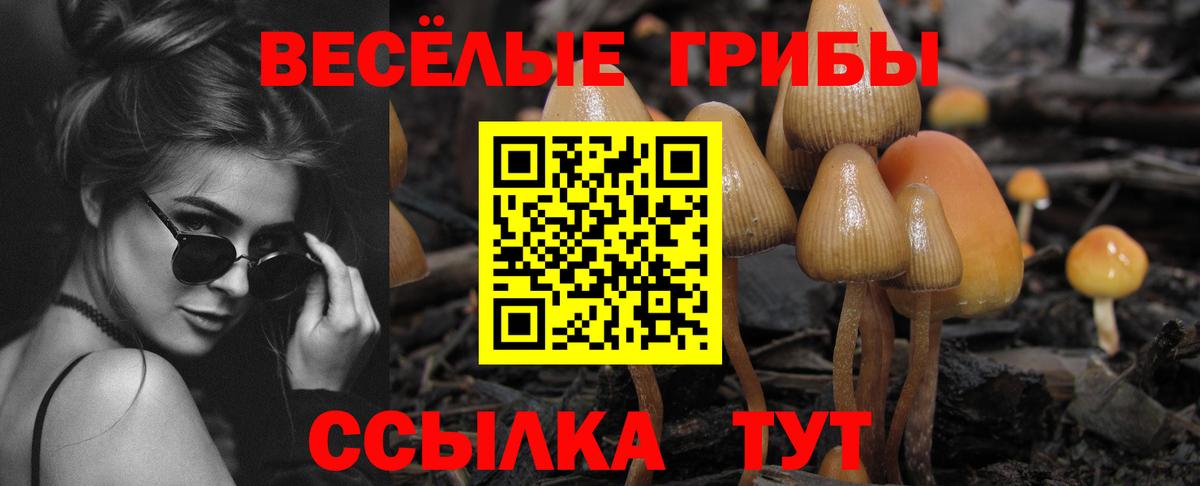 Галлюциногенные грибы мицелий Знаменск